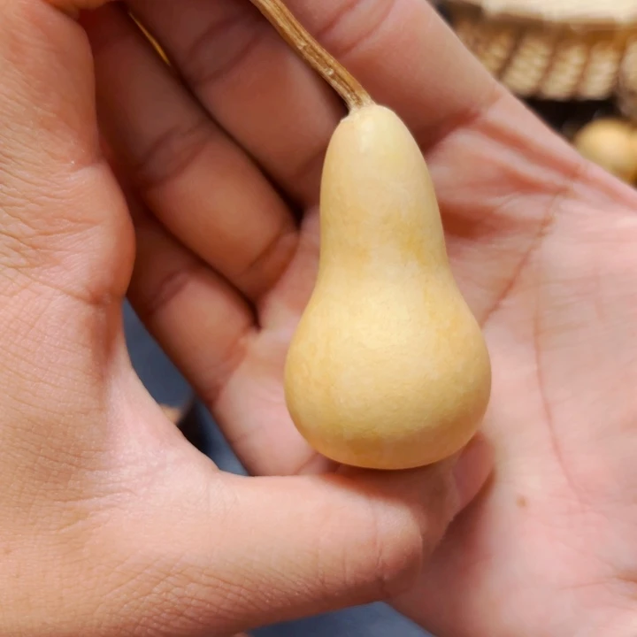 执****拉88888889999888888888