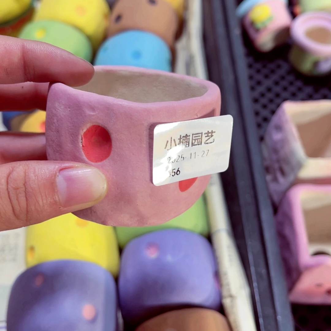 A***妈456号带盆包邮发货