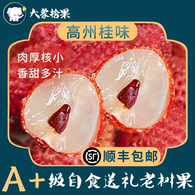 【顺丰冷链】品质大果桂味荔枝4.5斤礼盒装广东茂名高州