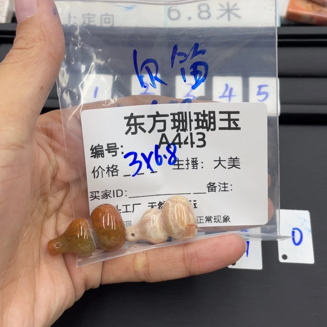 硅化珊瑚（珊瑚玉）合金颈饰ლ**ლ