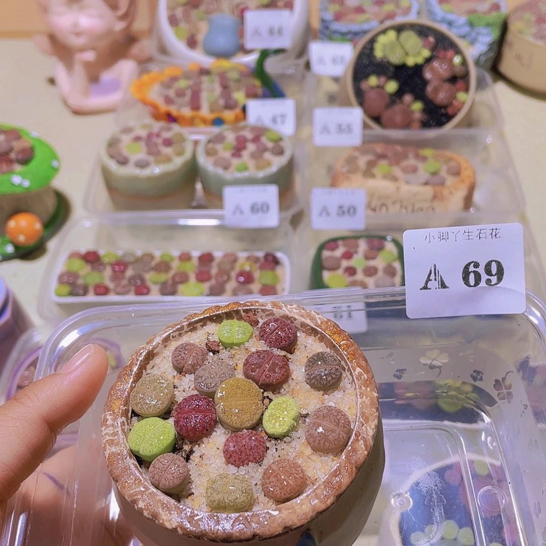69……9.9兔子我来了打