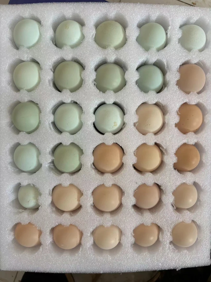 果园散放散养土鸡土鸡蛋（30枚）