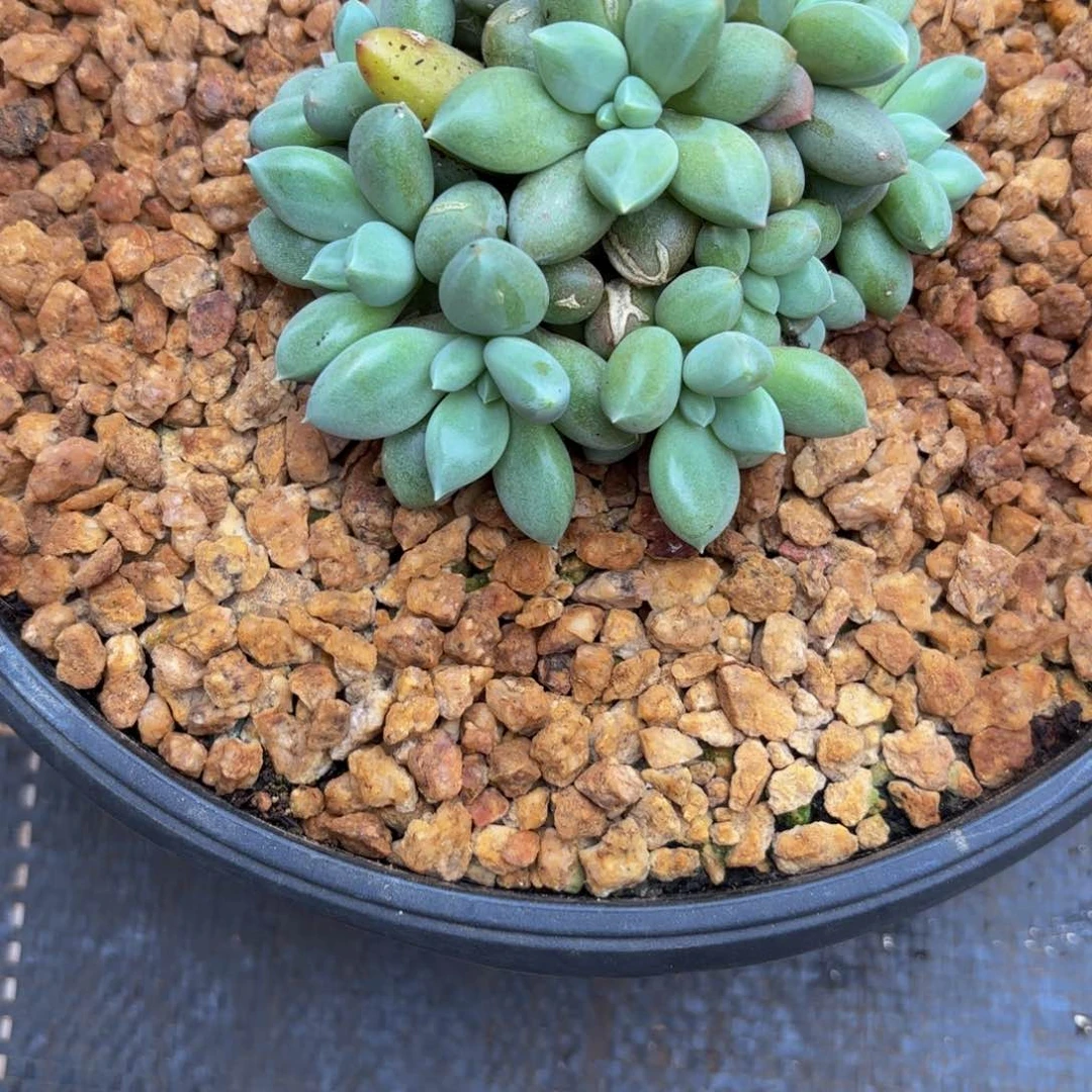 猫*?Fgkkjvhhhvbhhhhvvvgg