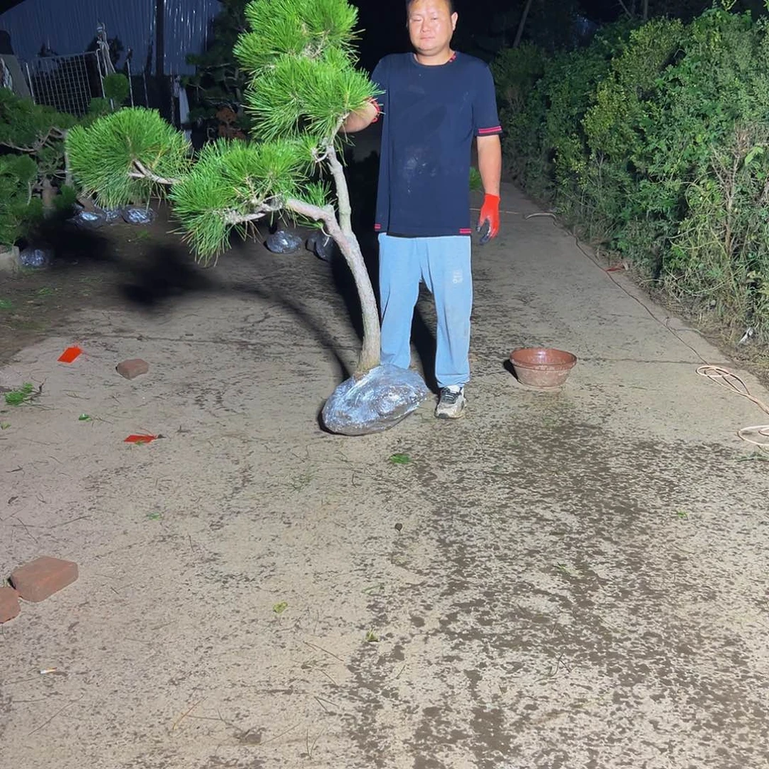 无花朵用****9888888888888