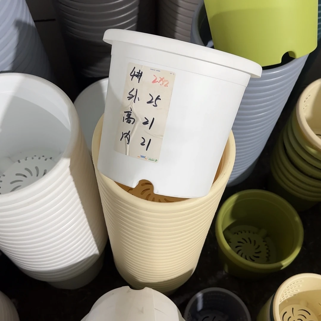 微瑕4号5个无托，白色