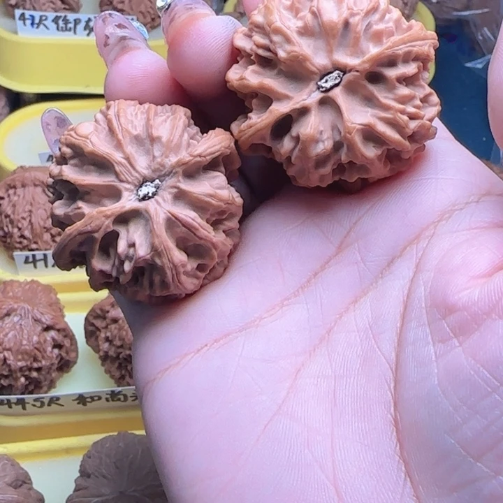 毛***仔吊坠桃核龙湾核桃苹果园全屏