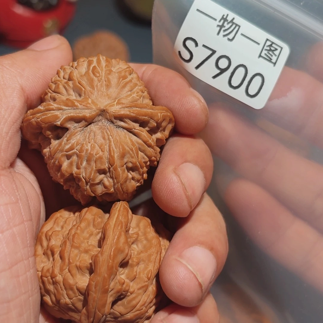 把件文玩核桃白狮子