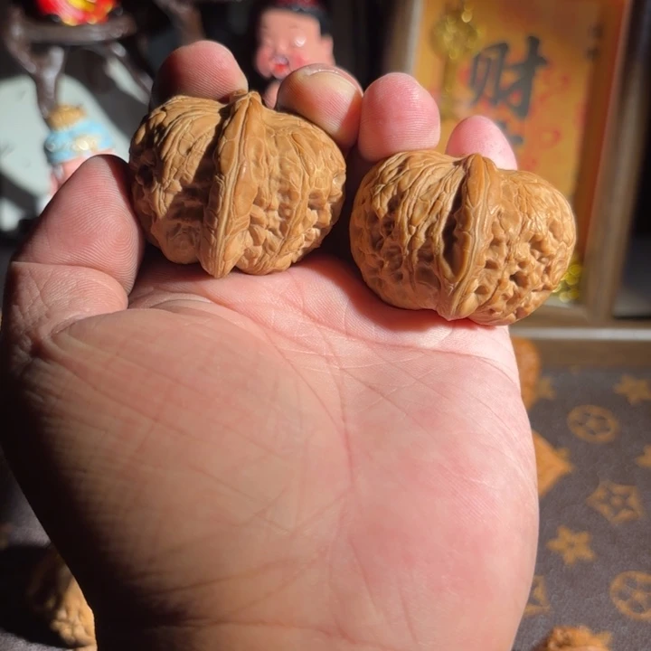 45尺寸元宝全品无修