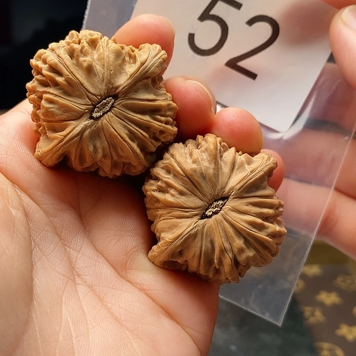 核桃52号全品磨盘