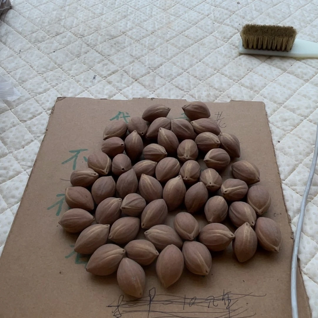 不****狮不退不换aaaasdf