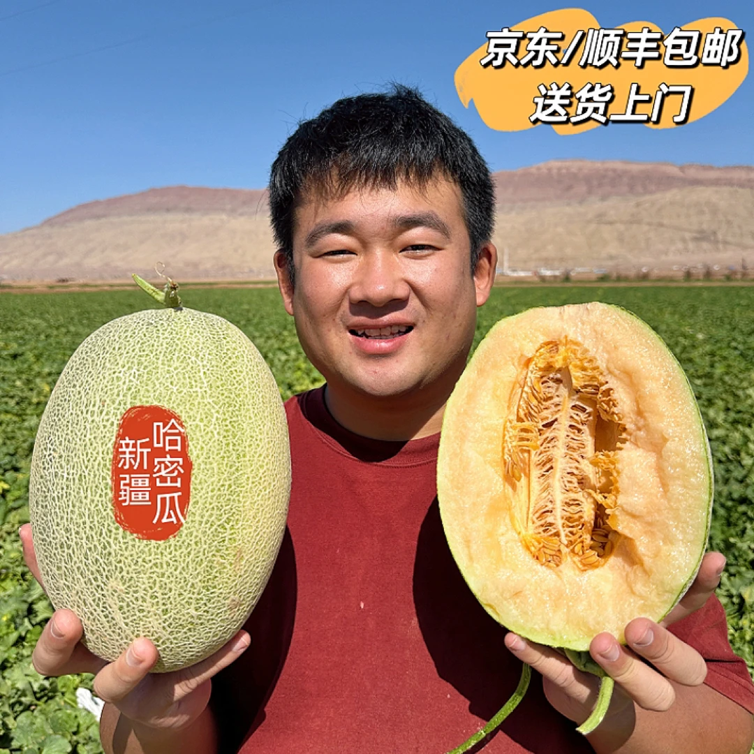 【京东/顺丰】新疆直发火焰山西州蜜25号哈密瓜脆甜多汁坏果包赔
