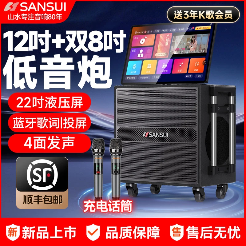 山水新款12吋户外K歌音响广场舞音箱带显示屏家庭KTV卡拉OK一体机