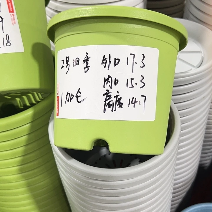 特价2号口17高14果绿10只无托