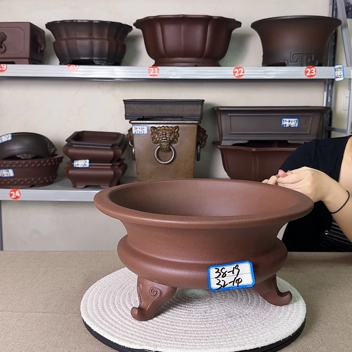 紫砂花盆紫砂花开