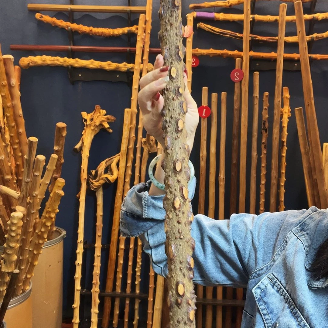 齿***依好好好好好好好好好好好