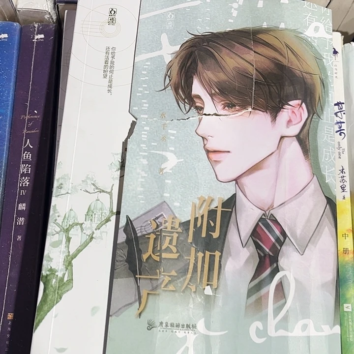 附加遗产全新全套两本带周边