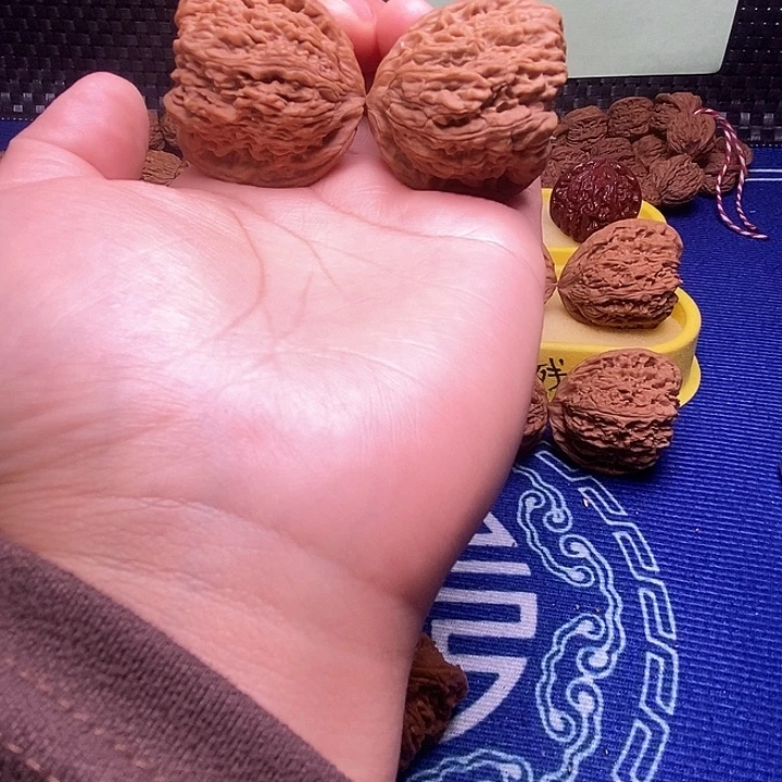 南疆38带留疤福利