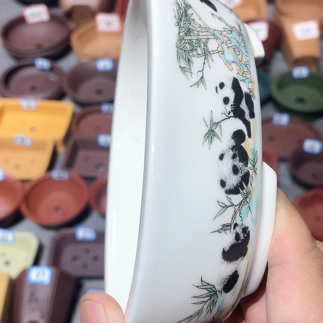 玻***人紫砂小盆14*11*3.5cmmm