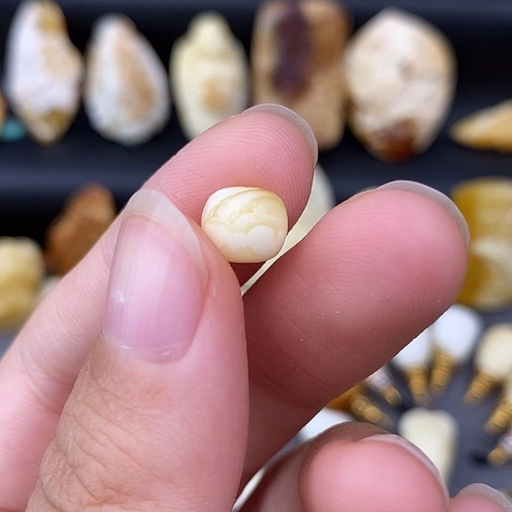 琥珀未镶嵌裸石8老邢