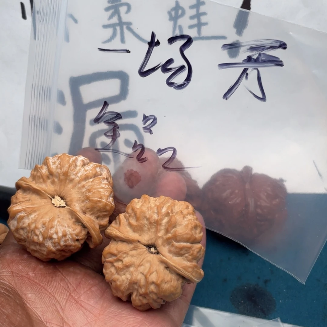 吊坠文玩核桃57375357573735753357358