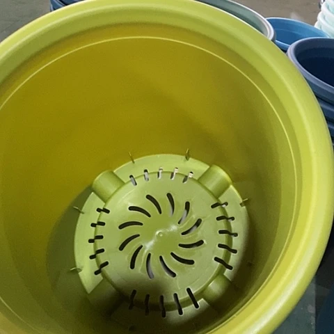 树脂四季8号微瑕果绿无托3个