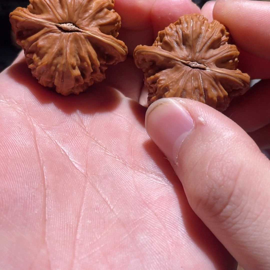 F***n文玩核桃把件36全品角白