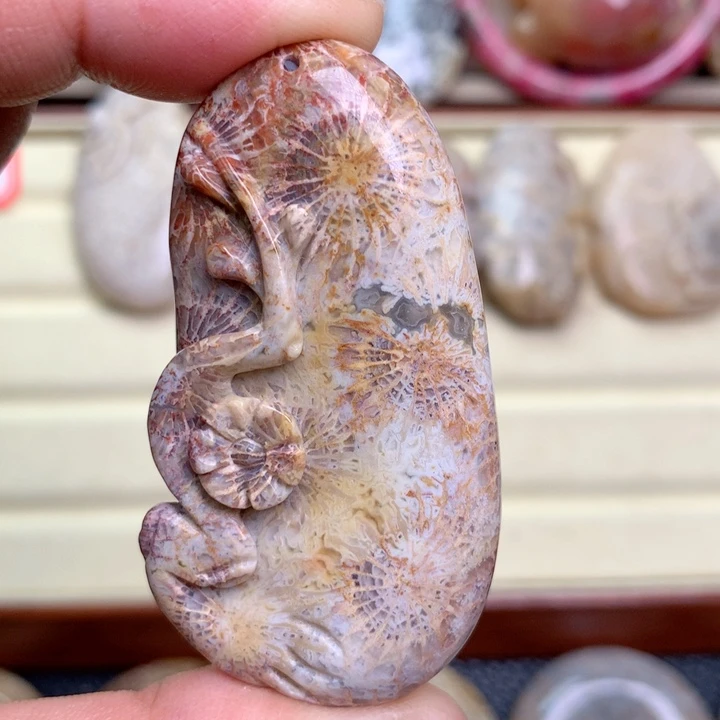 硅化珊瑚（珊瑚玉）未镶嵌颈饰