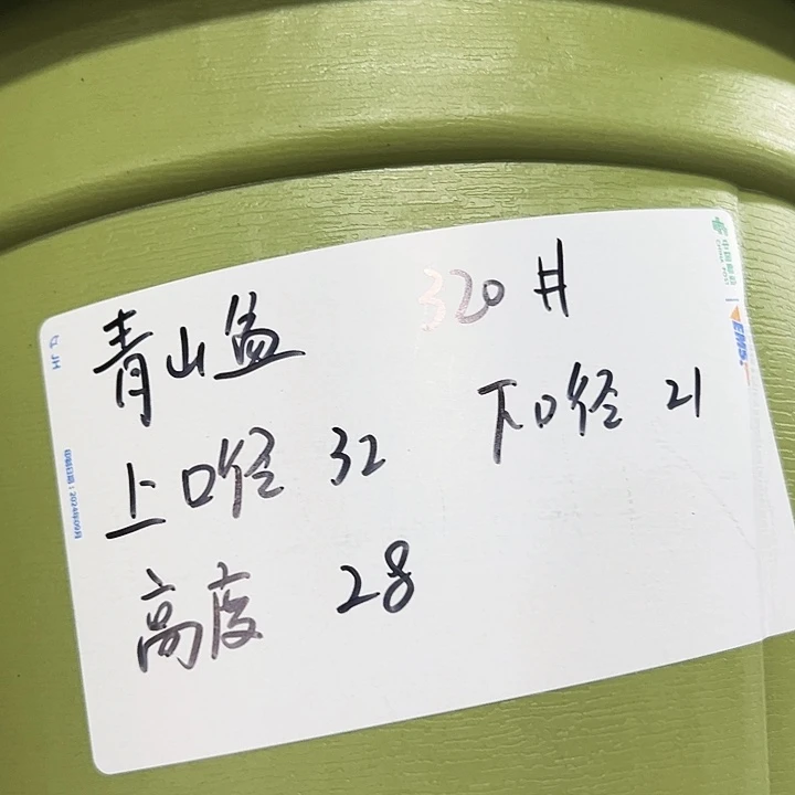 特价青山口32高28灰白无托5只