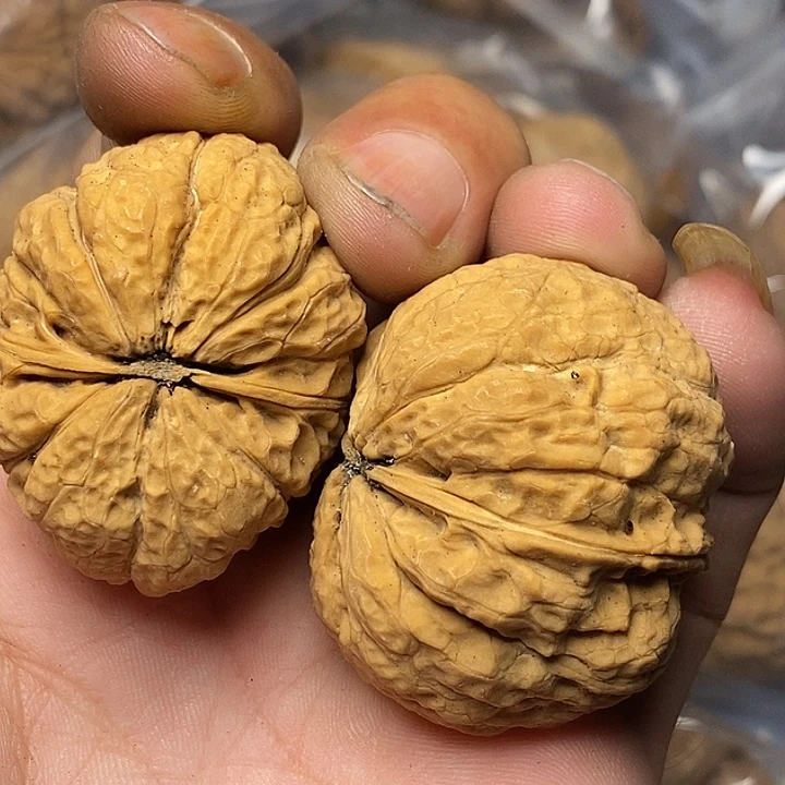 把件文玩核桃云南铁核桃56号42mm