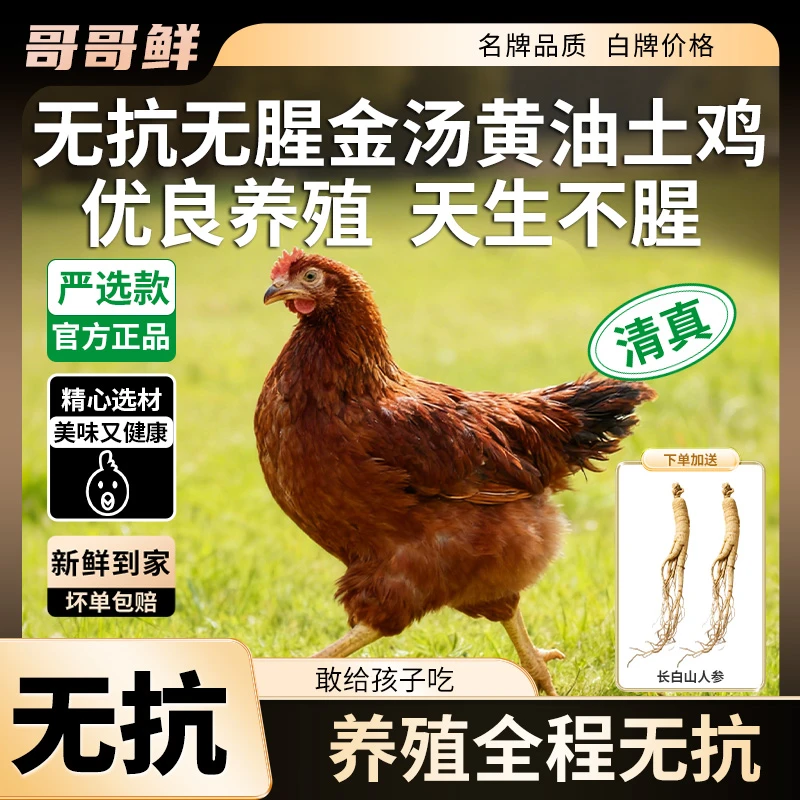 哥哥鲜无抗黄油鸡整鸡鸡肉生鲜宝宝辅食无腥味10分钟清水煮高蛋白