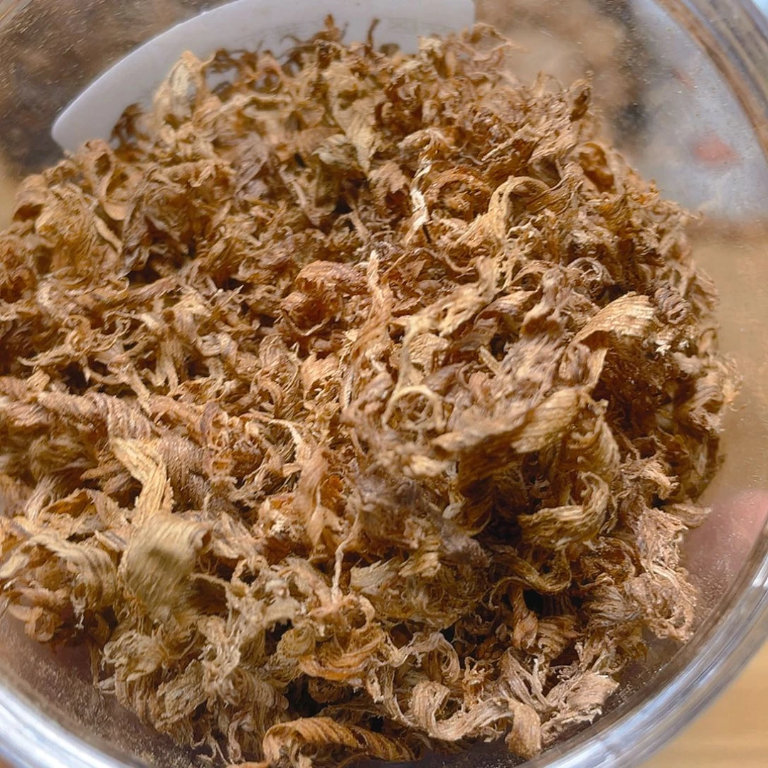 沉香越南都蓬勾丝1克