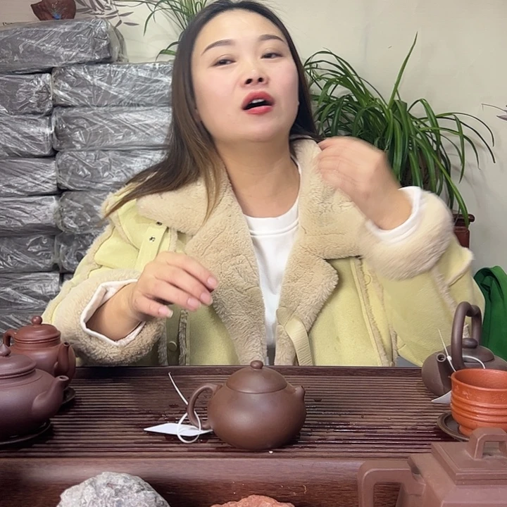 茶壶紫砂宜兴紫砂