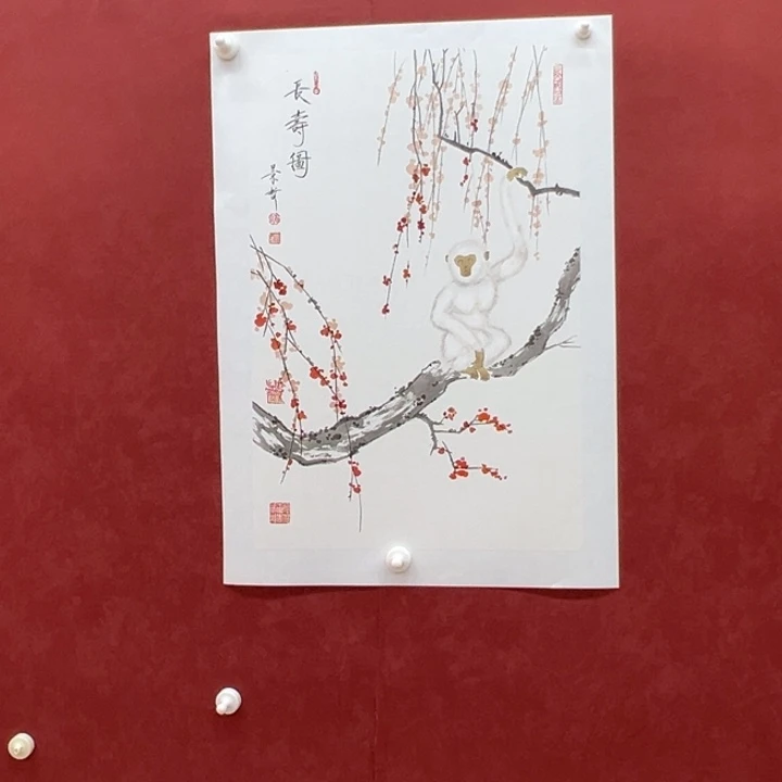 国画你你你你你你你