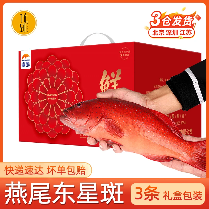 新鲜燕尾东星斑鱼速冻海鲜礼盒送礼佳品年货年夜饭大礼包深海