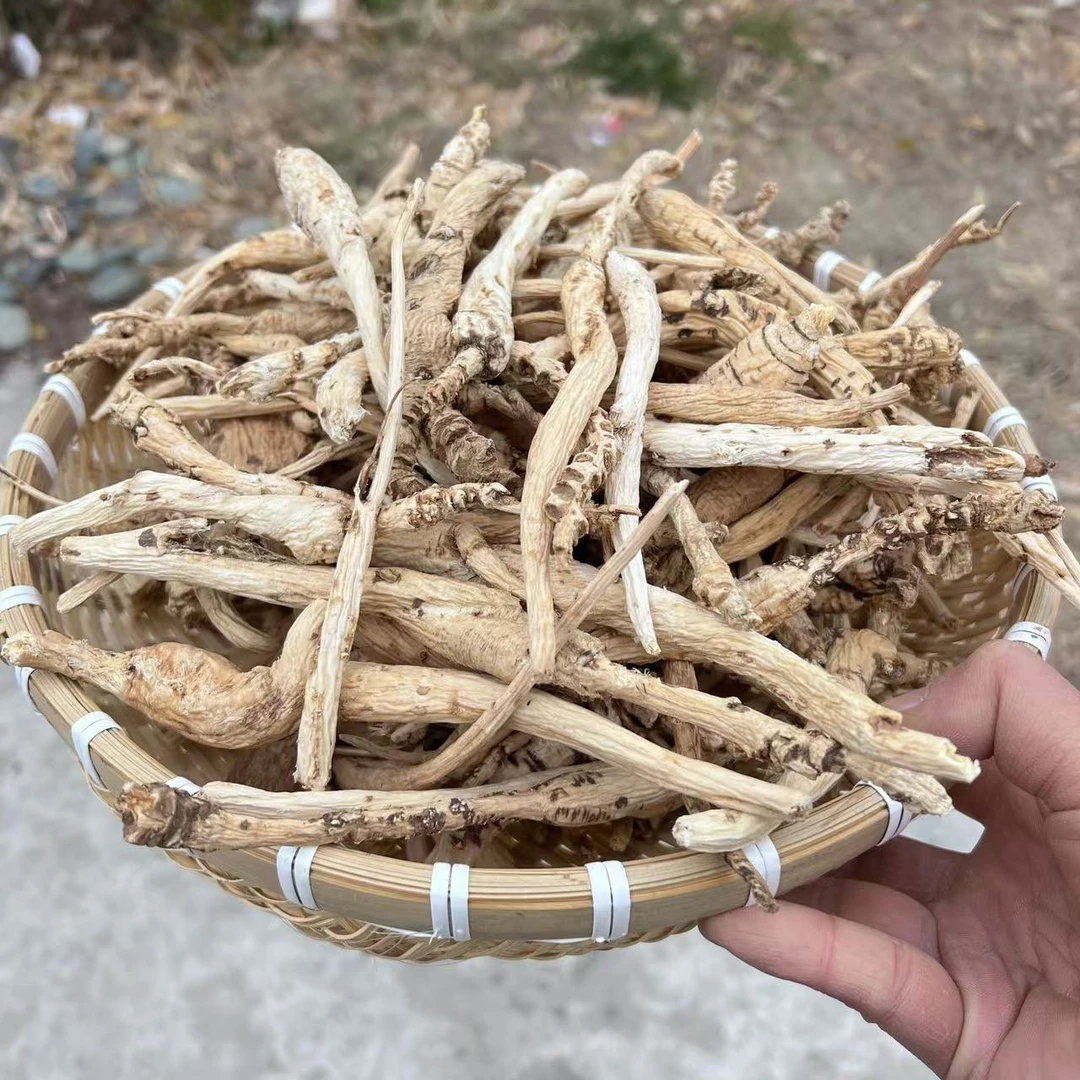 西藏野生沙参干货