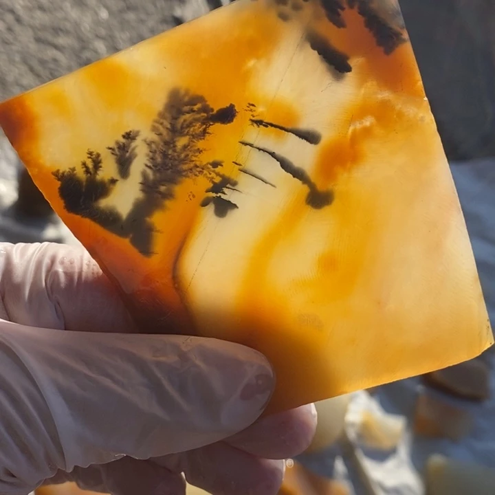 石英质玉（黄龙玉）足铂镶嵌颈饰