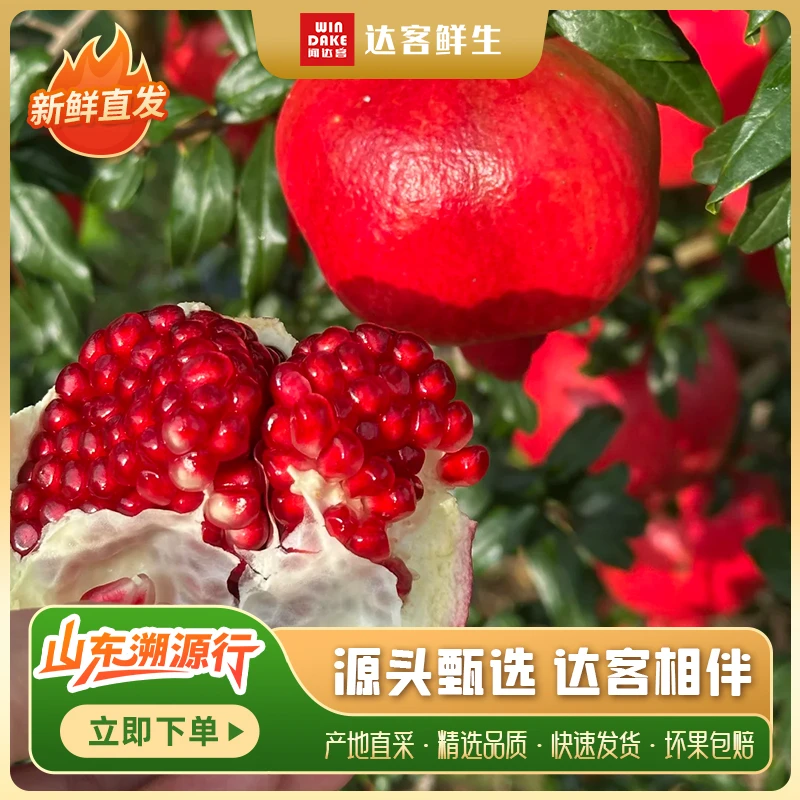 软籽石榴  5斤/份