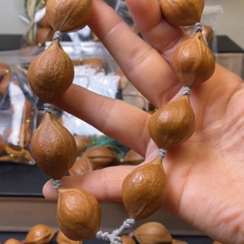 手串/手链贝壳橄榄核20.8