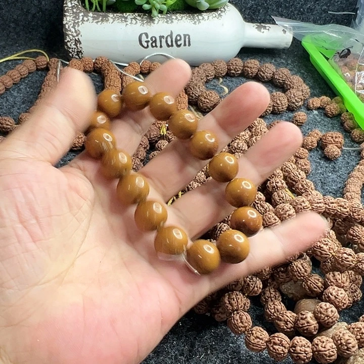 長***树金刚菩提手串光洙