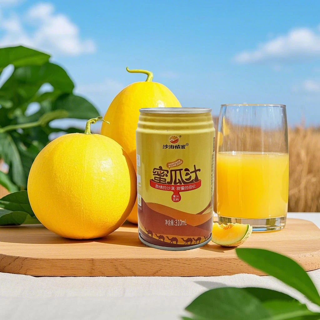蜜瓜汁 甘肃民勤特产沙海情蜜蜜瓜汁罐装饮料早春特惠礼盒鲜果汁