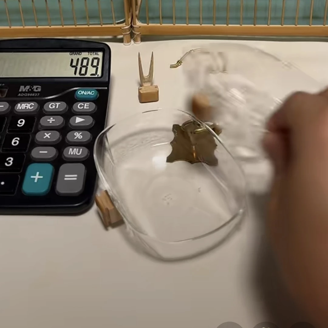鸟用光面洗澡盆+条纹洗澡盆两丝