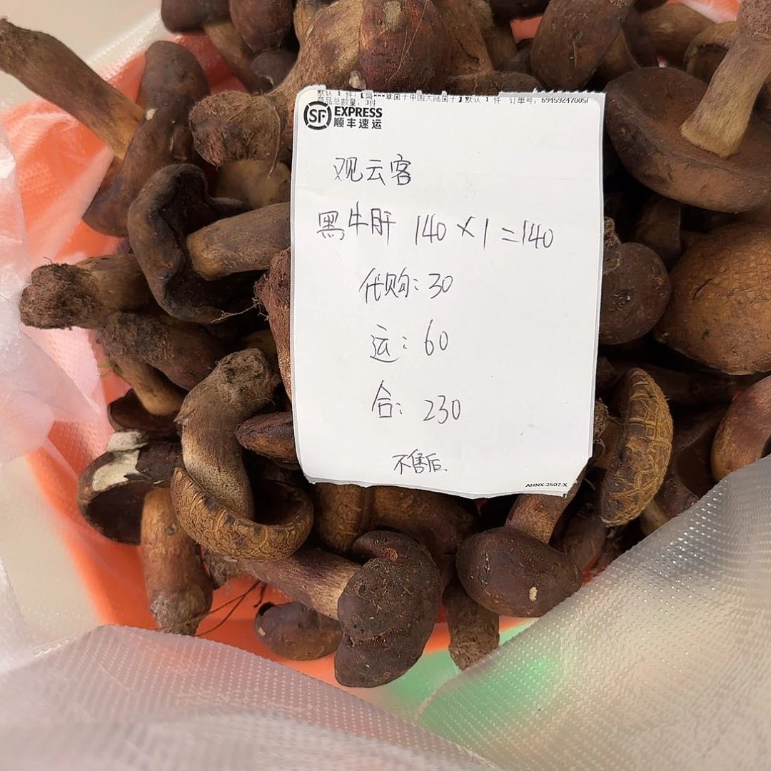 觀***客菌子中国大陆菌子
