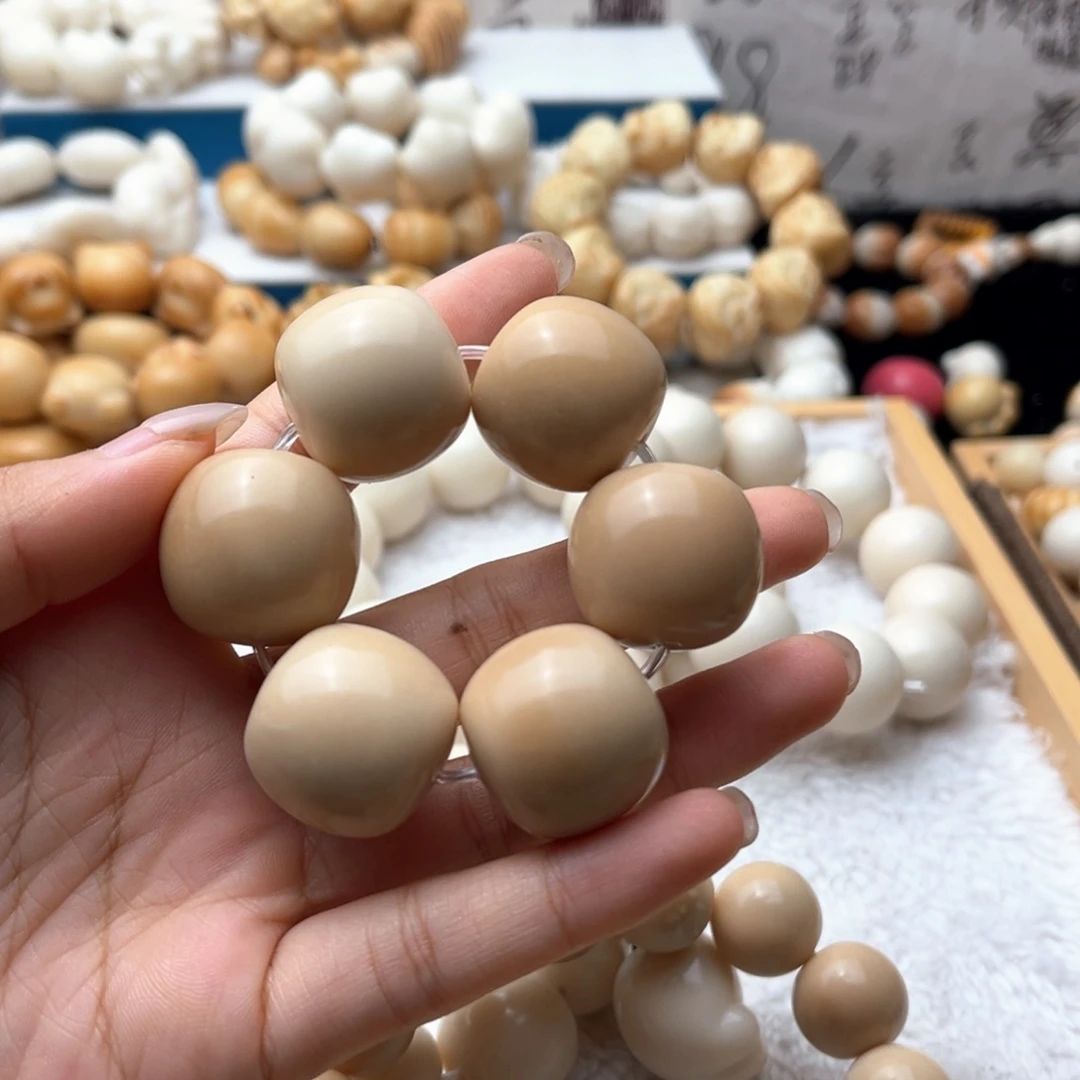 吊坠菩提根/象牙果