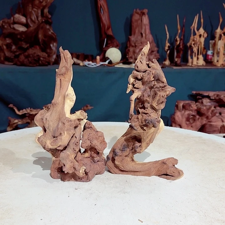 黑果木米*鼠405金丝红木羊蹄甲半成品到手2