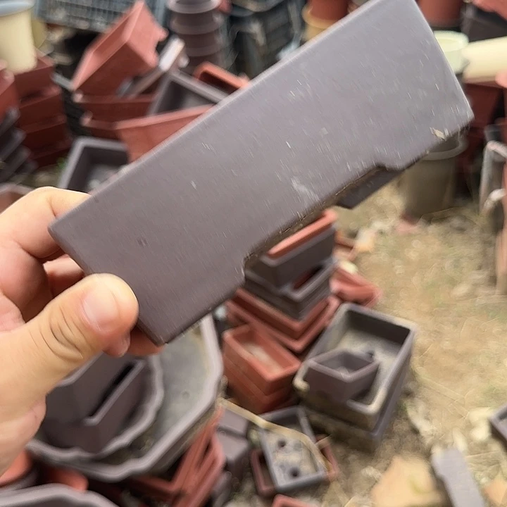 我会想要把所有都带回去