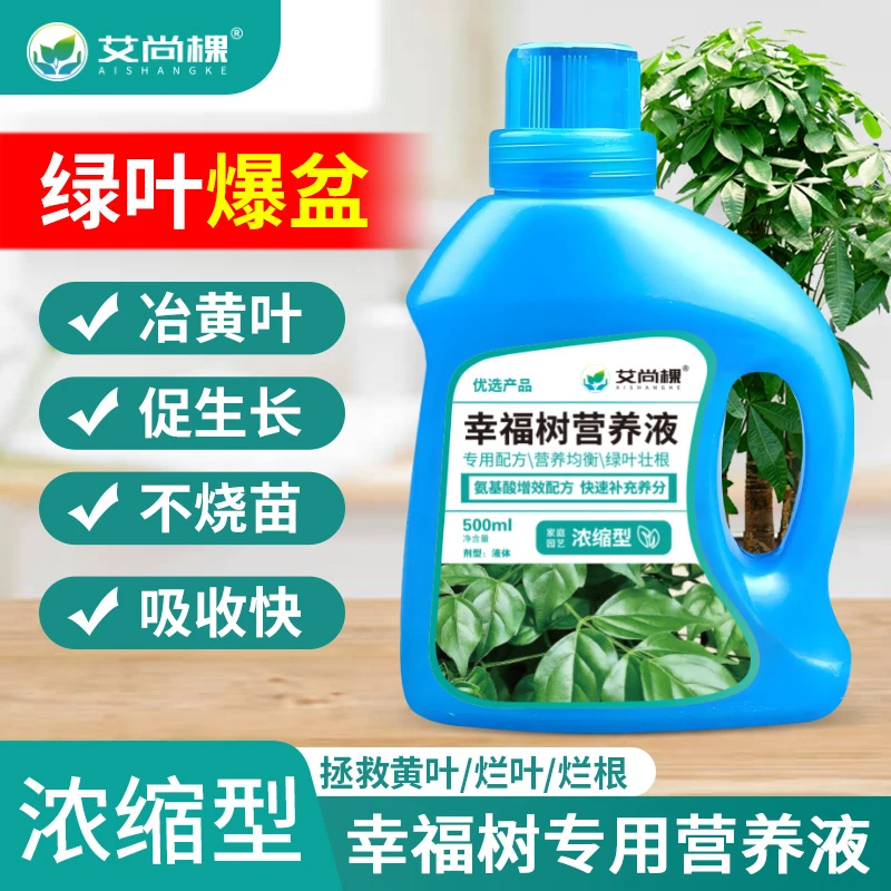 幸福树专用营养液高浓缩型室内盆栽花卉花肥料生根液金钱树龙血树