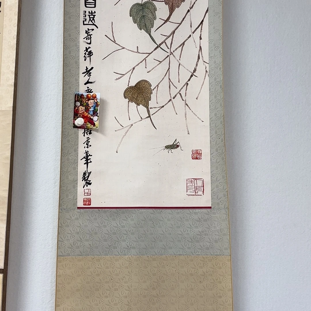 老张专拍专用链接