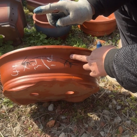 紫砂花盆紫砂花盆盆景盆栽