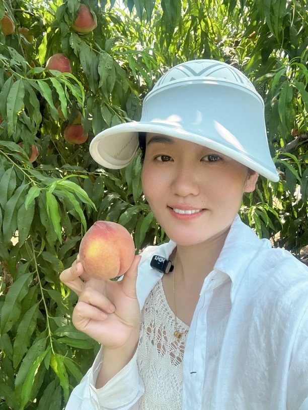 湖南老树艳红黄桃新鲜现摘树上熟脆甜多汁水果