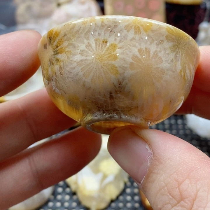 硅化珊瑚（珊瑚玉）颈饰未镶嵌